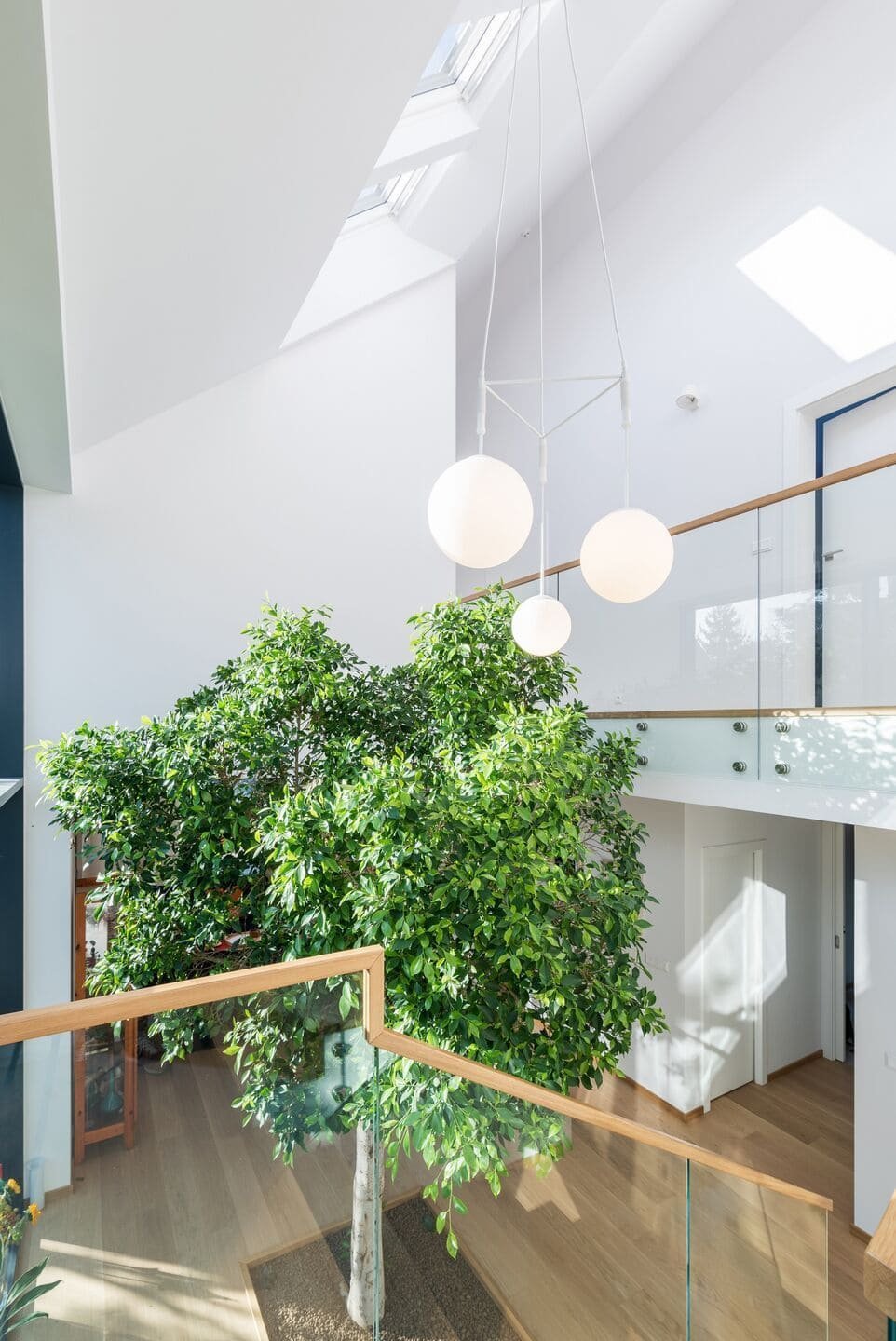 I přes blízkost sousedních domů mají dostatek soukromí