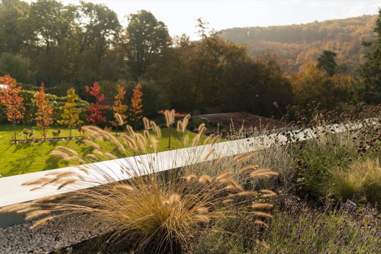 Jednopodlažní dům se zelenou střechou