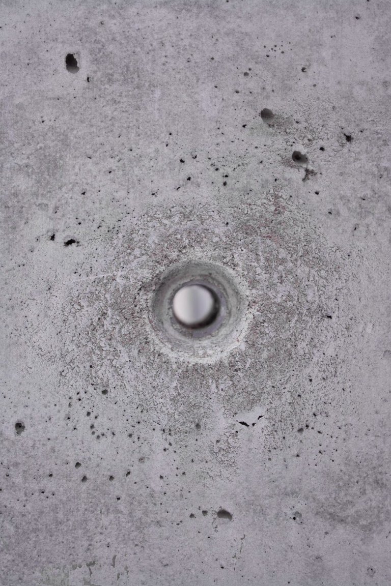 Dům propojený lesem