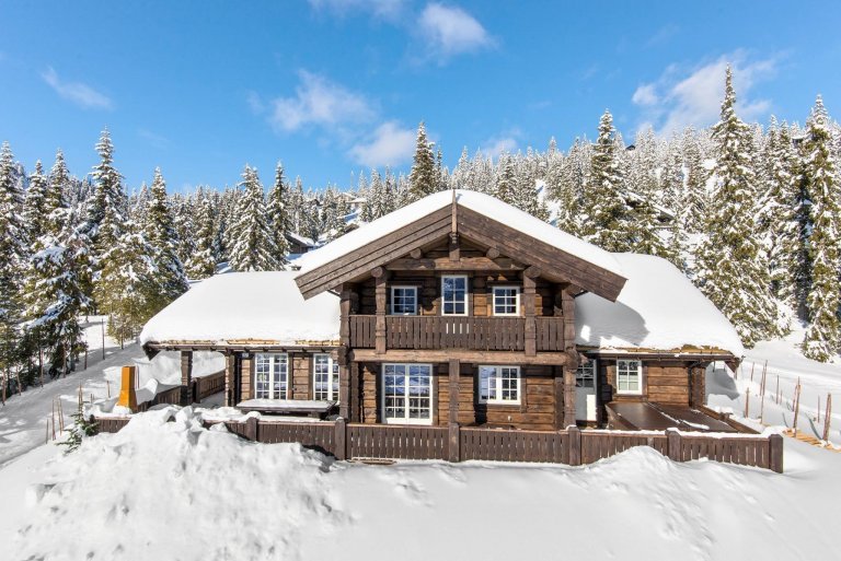 Norský srub v horách