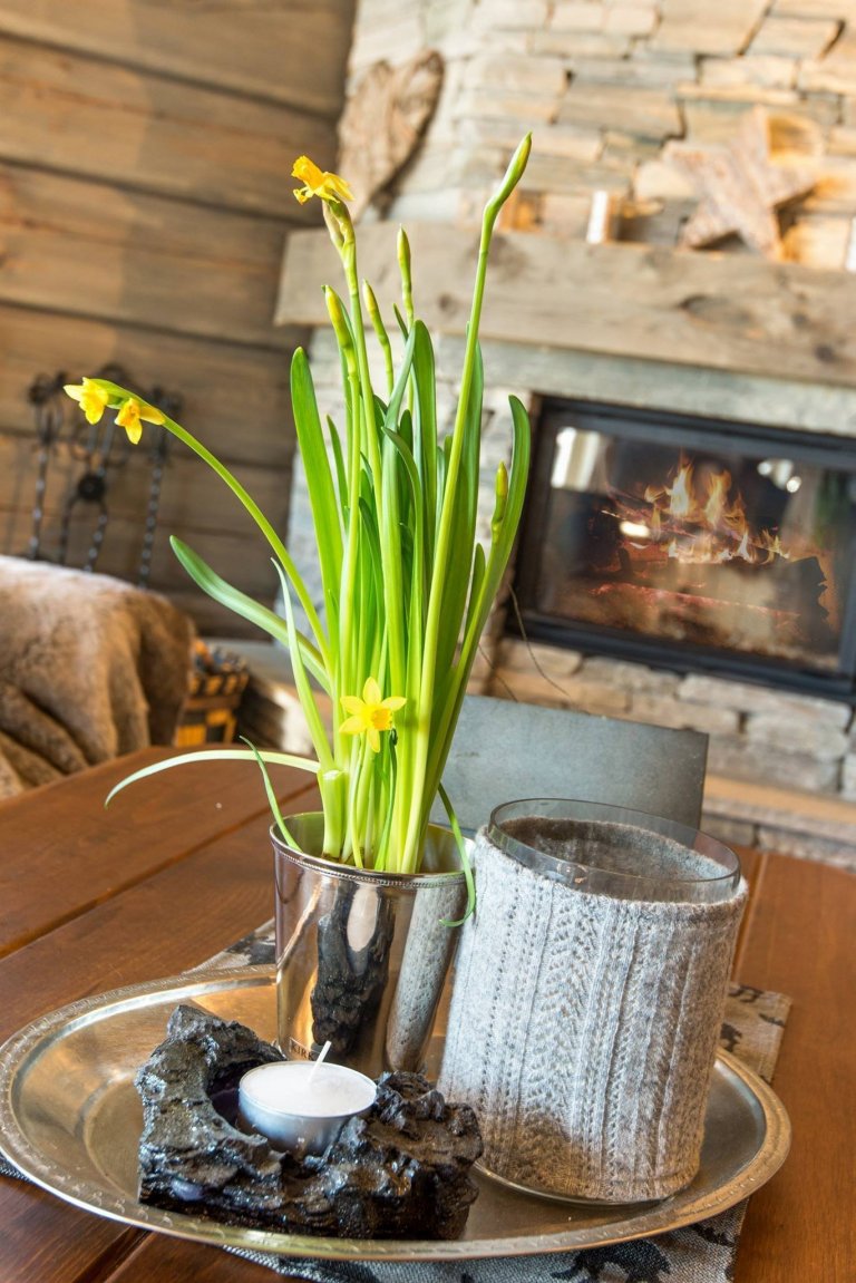 Norský srub v horách