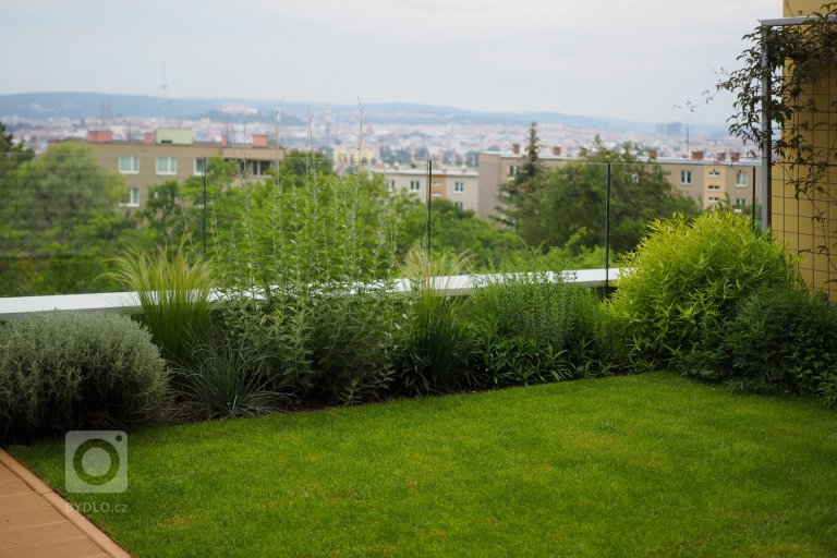 add picture to album