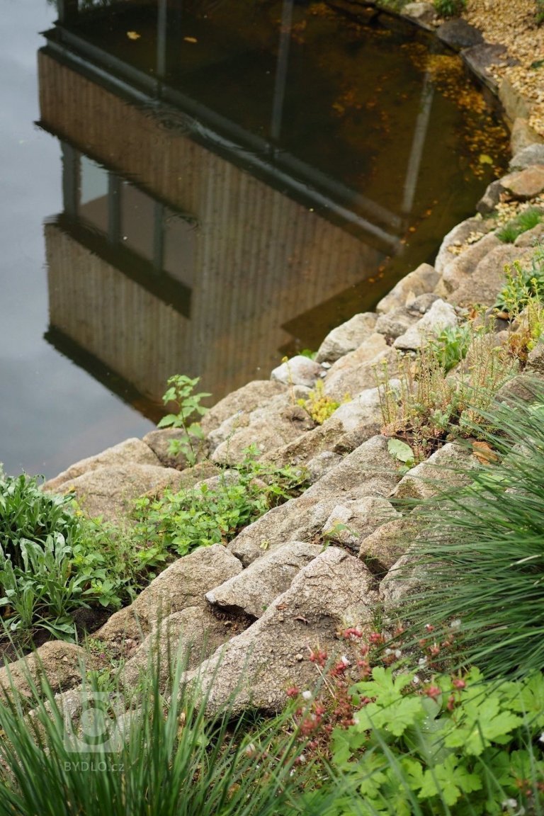 add picture to album