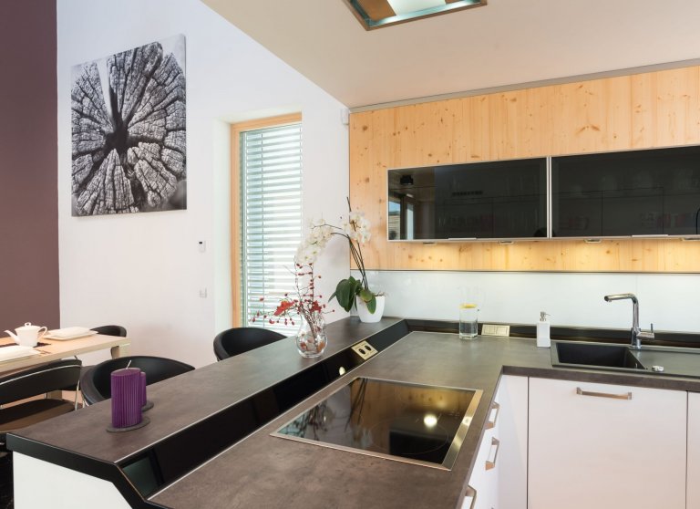 Dům o&nbsp;půdorysu ve tvaru U je navržen jako tři hmoty v různých výškových úrovních uspořádané kolem jádra domu &ndash; patia - s částečně krytou terasou a…