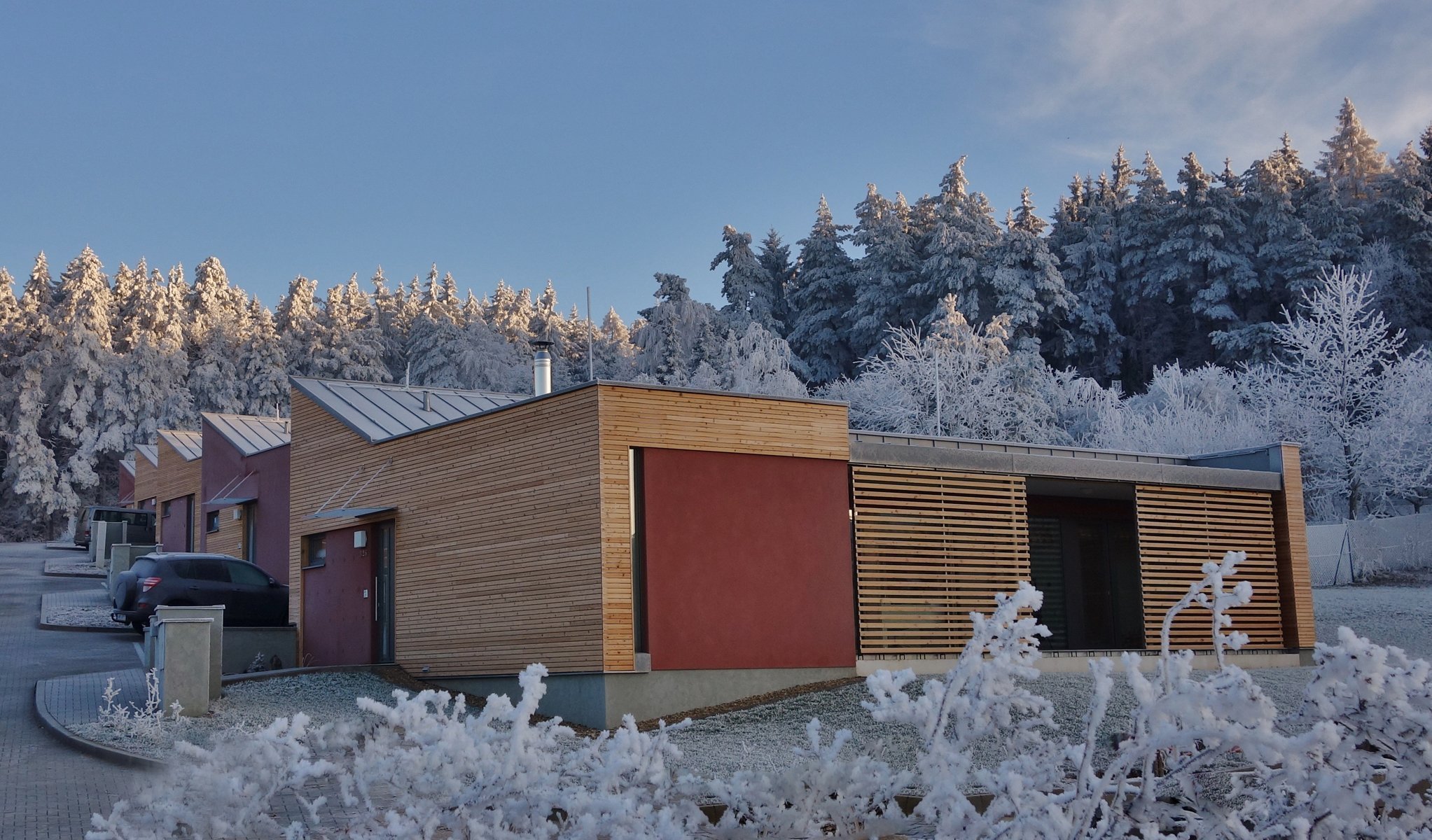 Řadové domy u lesa