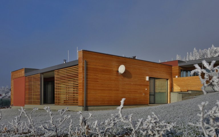 Řadové domy u lesa