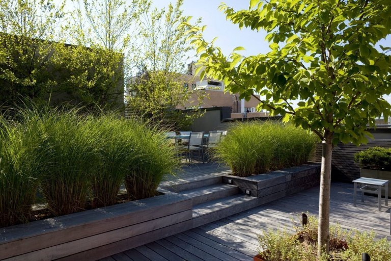 Vyvýšené záhony ocení i milovníci okrasných rostlin