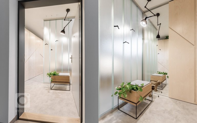 add picture to album