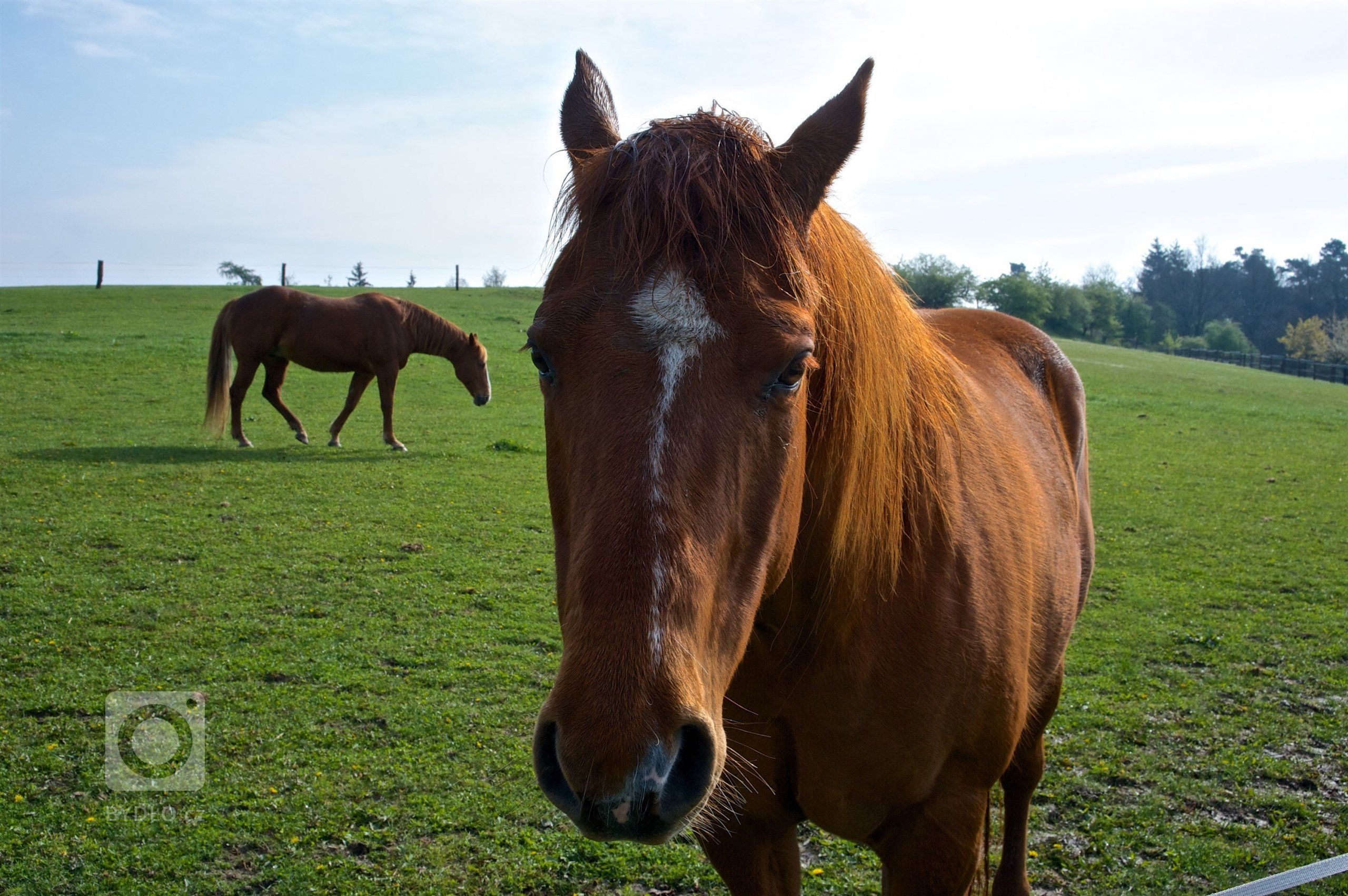 Historie tohoto statku u Písku sahá hluboko do minulosti a je nádherným příkladem, jak lze pečovat o rodinnou tradici.&nbsp;Dnes už byste neuvěřili, že tohle…