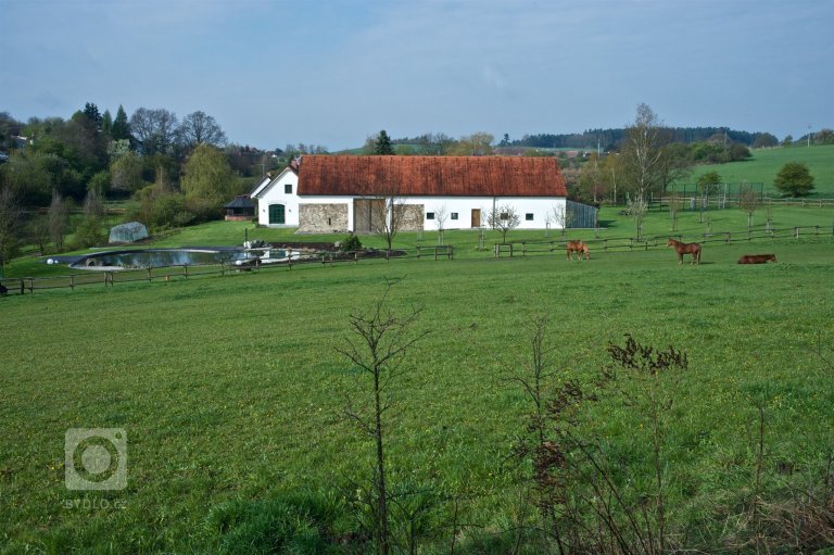 add picture to album