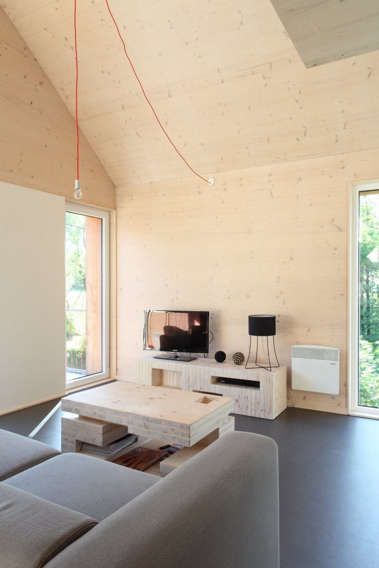 Concept House - Pulečný