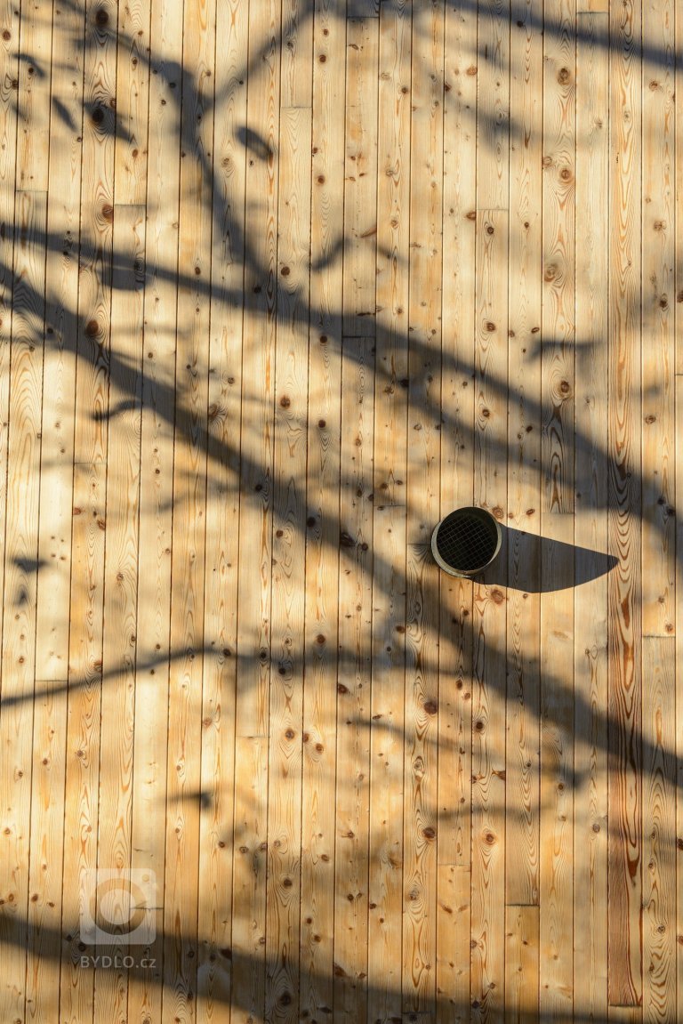 add picture to album