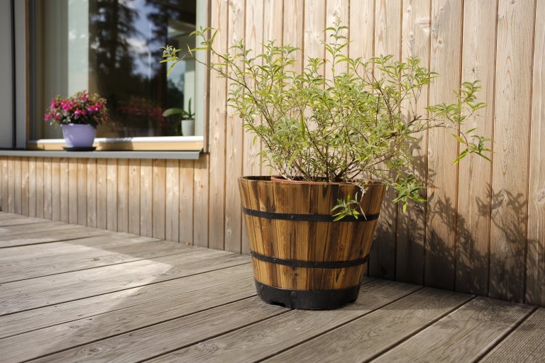 Koncepce rodinného domu s&nbsp;permakulturní zahradou pro japonsko-český manželský pár je vedena snahou o&nbsp;jednoduché, funkční a kultivované řešení, které…