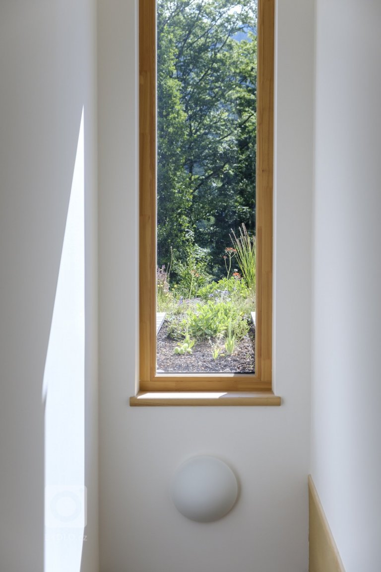 add picture to album