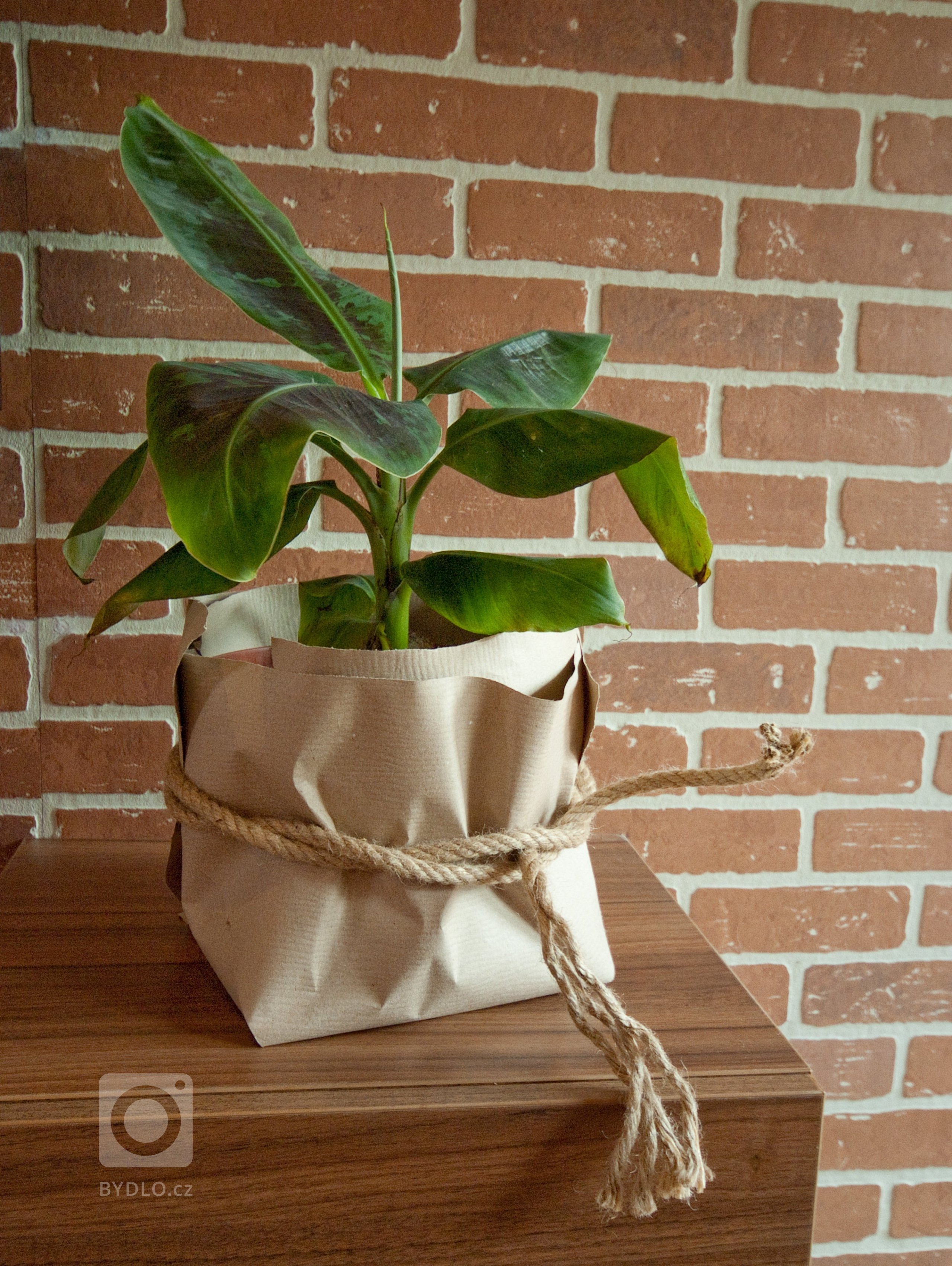 Návrh a realizace pokroví v přírodním stylu. Převládaly zde spíše zemité tóny, oživené vínovou a zelenou&nbsp;barvou.
