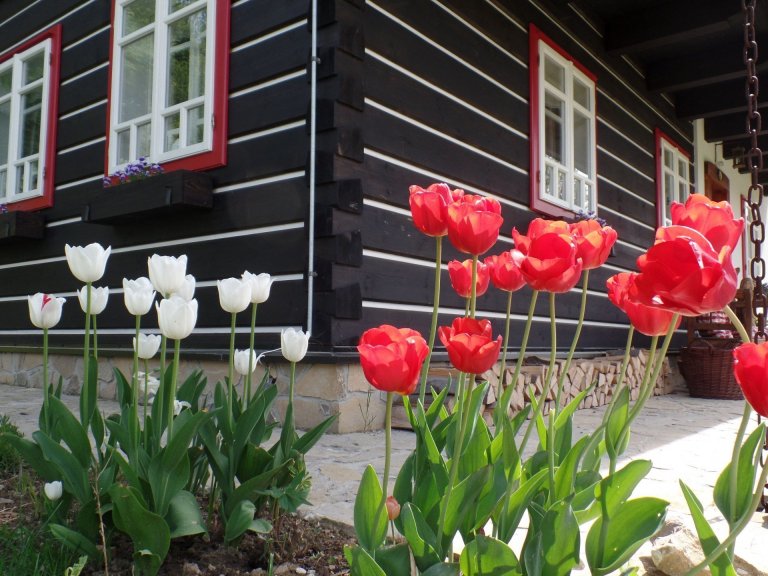 Chaloupka kde se zastavil čas, vrátí Vás o několik desetiletí zpět.
