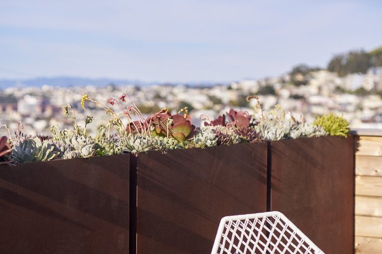 Dům jako oáza v Randall Street