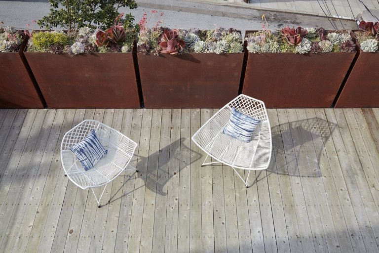 Dům jako oáza v Randall Street