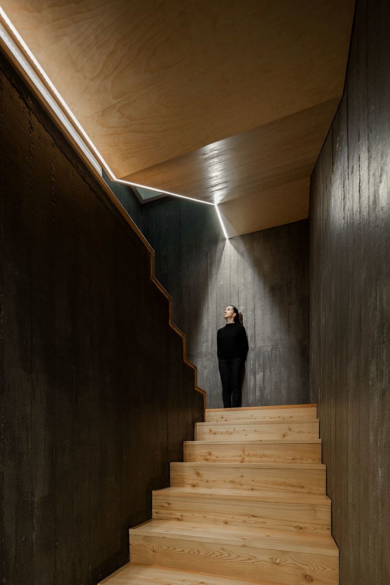 Dům s dřevěnou fasádou a geometrickými světlíky