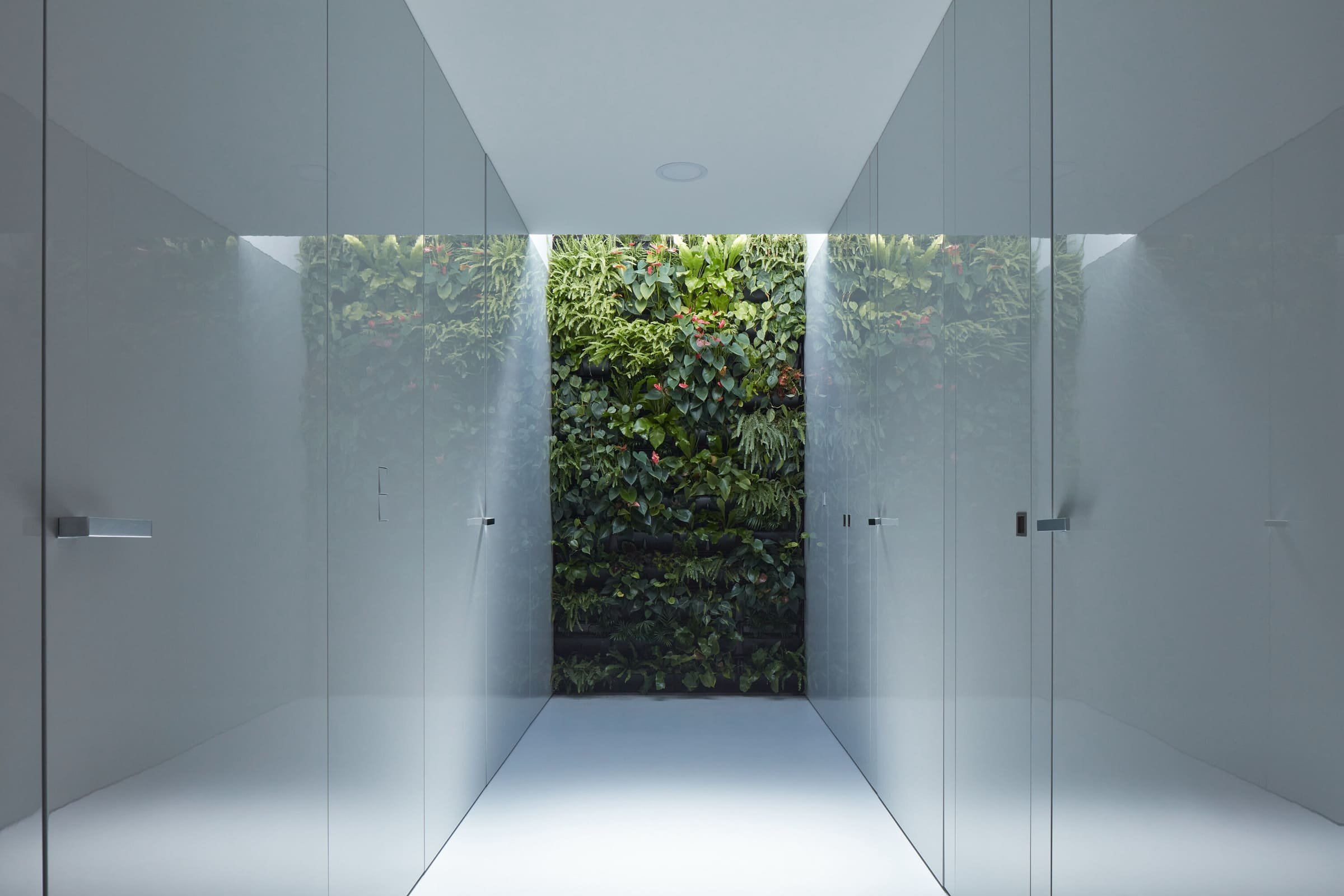 Dům se zelenou střechou v údolí řeky Dyje