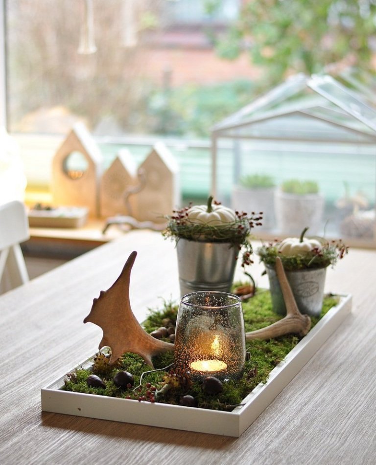 K podzimu patří dýně