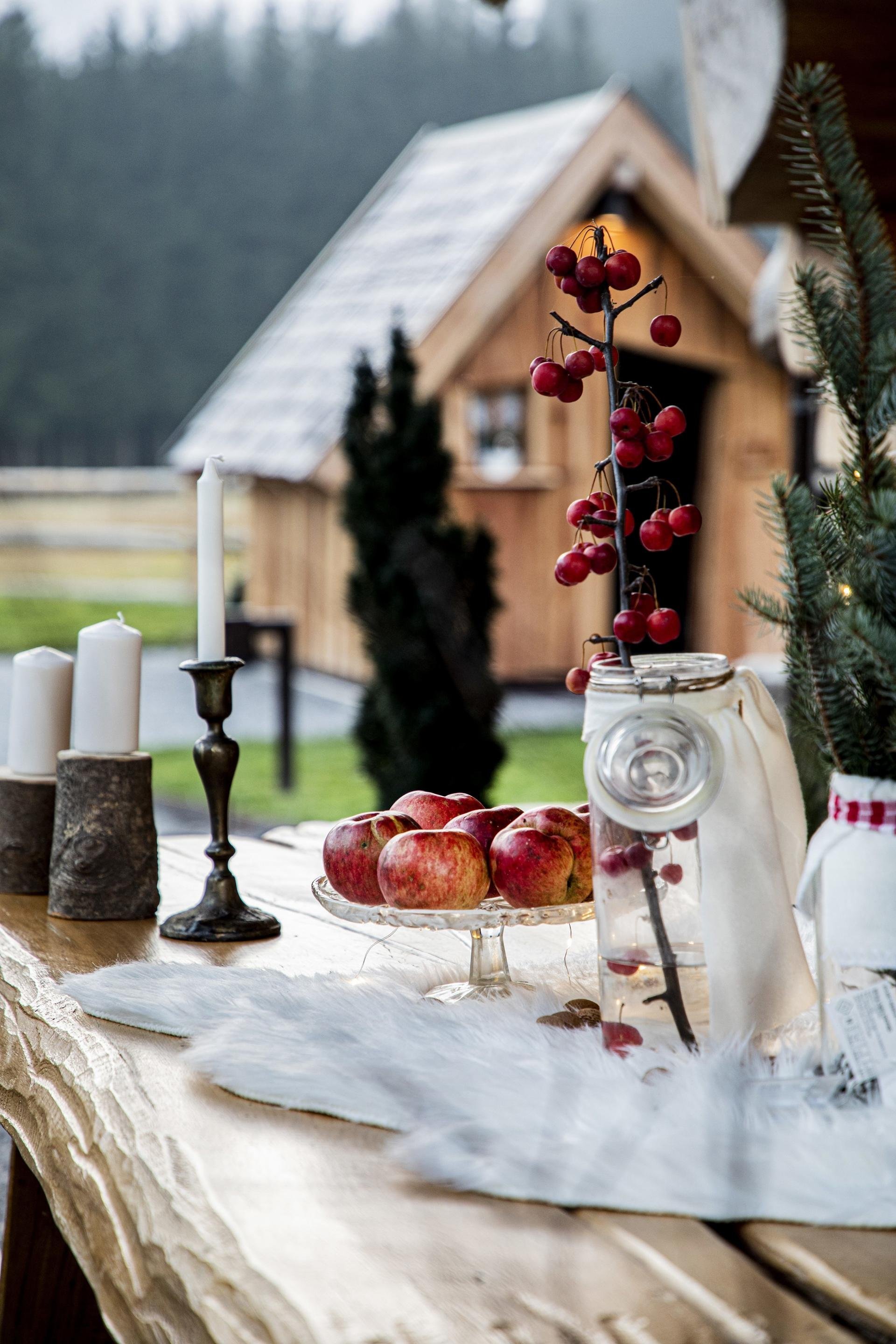 Kouzelný srub na samotě o vánočním čase