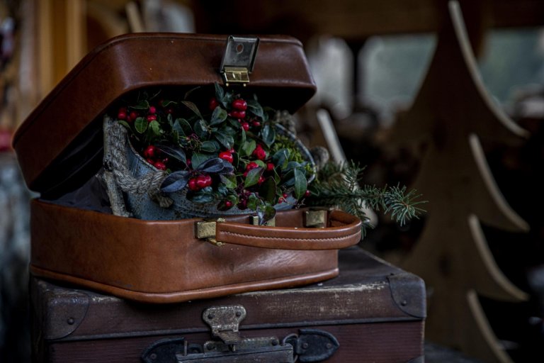 Kouzelný srub na samotě o vánočním čase