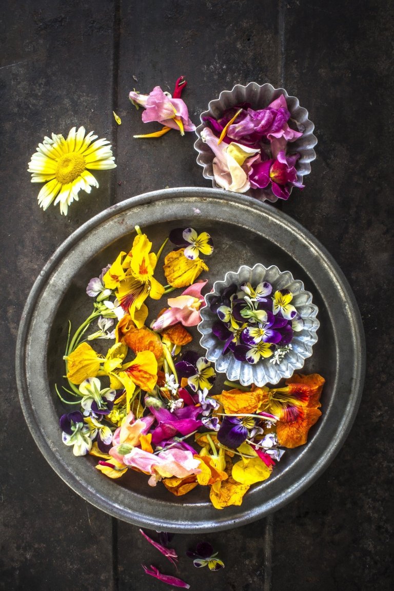 Květiny, na kterých si pochutnáte!