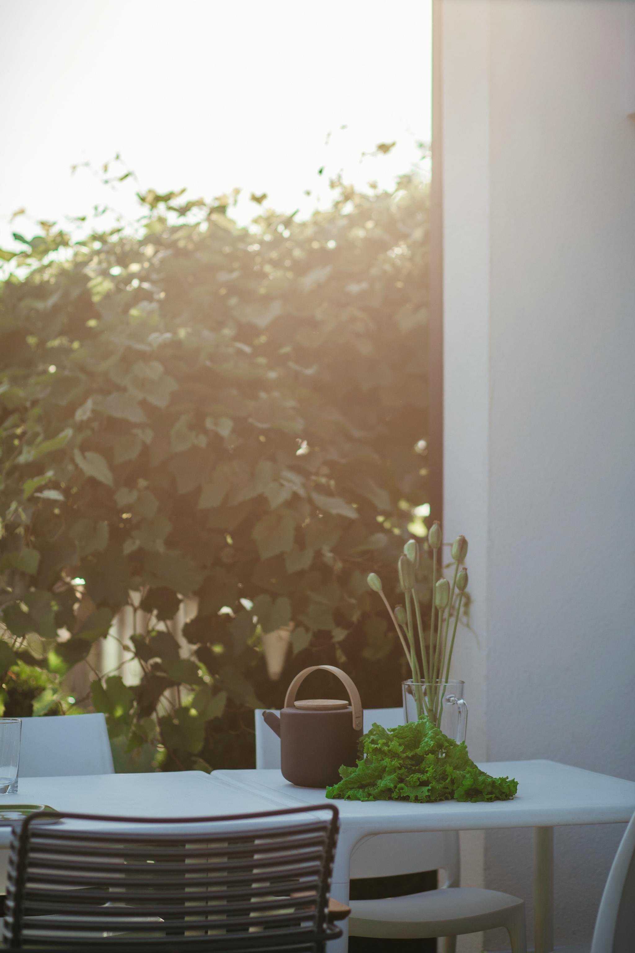 Neobvyklý letní dům inspirovaný dětstvím