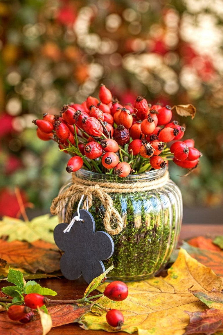 Podzimní dekorace pro krásu domova