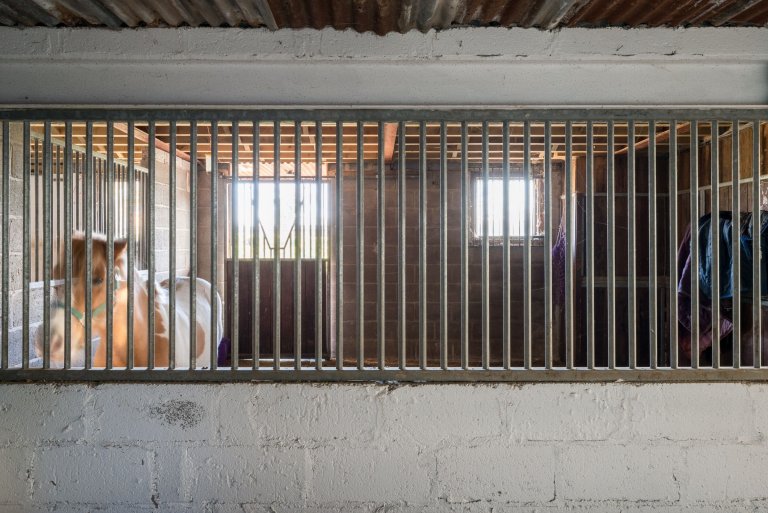 Přestavba stáje na nádherné bydlení