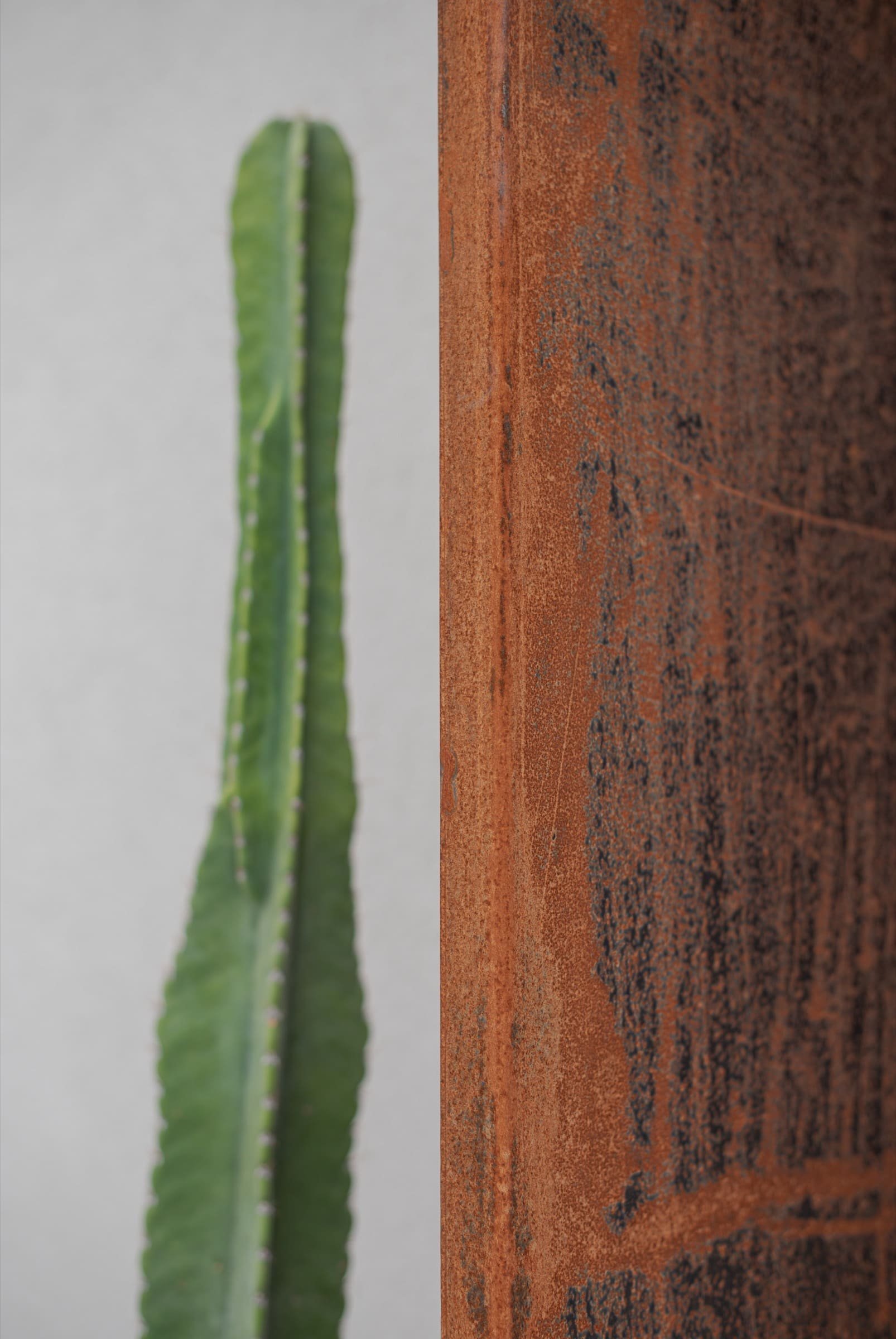 Rekreační domek vdechl zapomenuté zahradě nový život