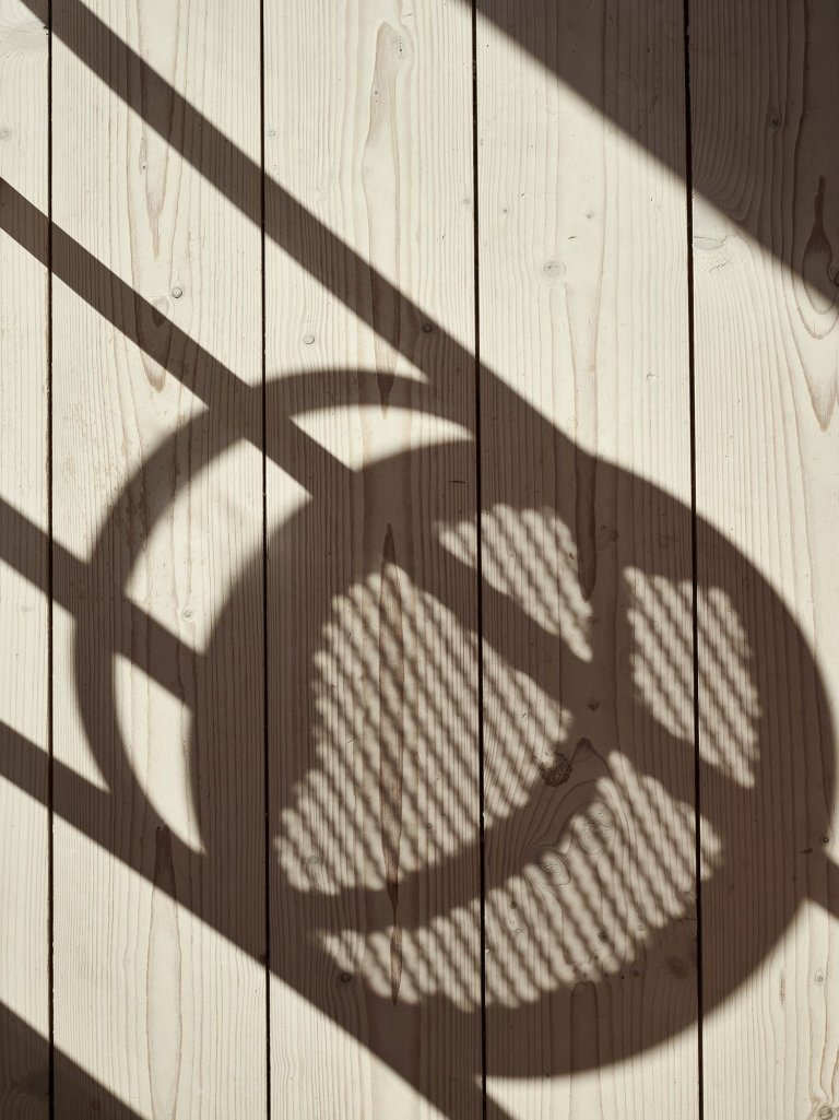 Severská borovice v hlavní roli moderní dřevostavby