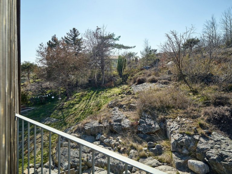 Severská borovice v hlavní roli moderní dřevostavby