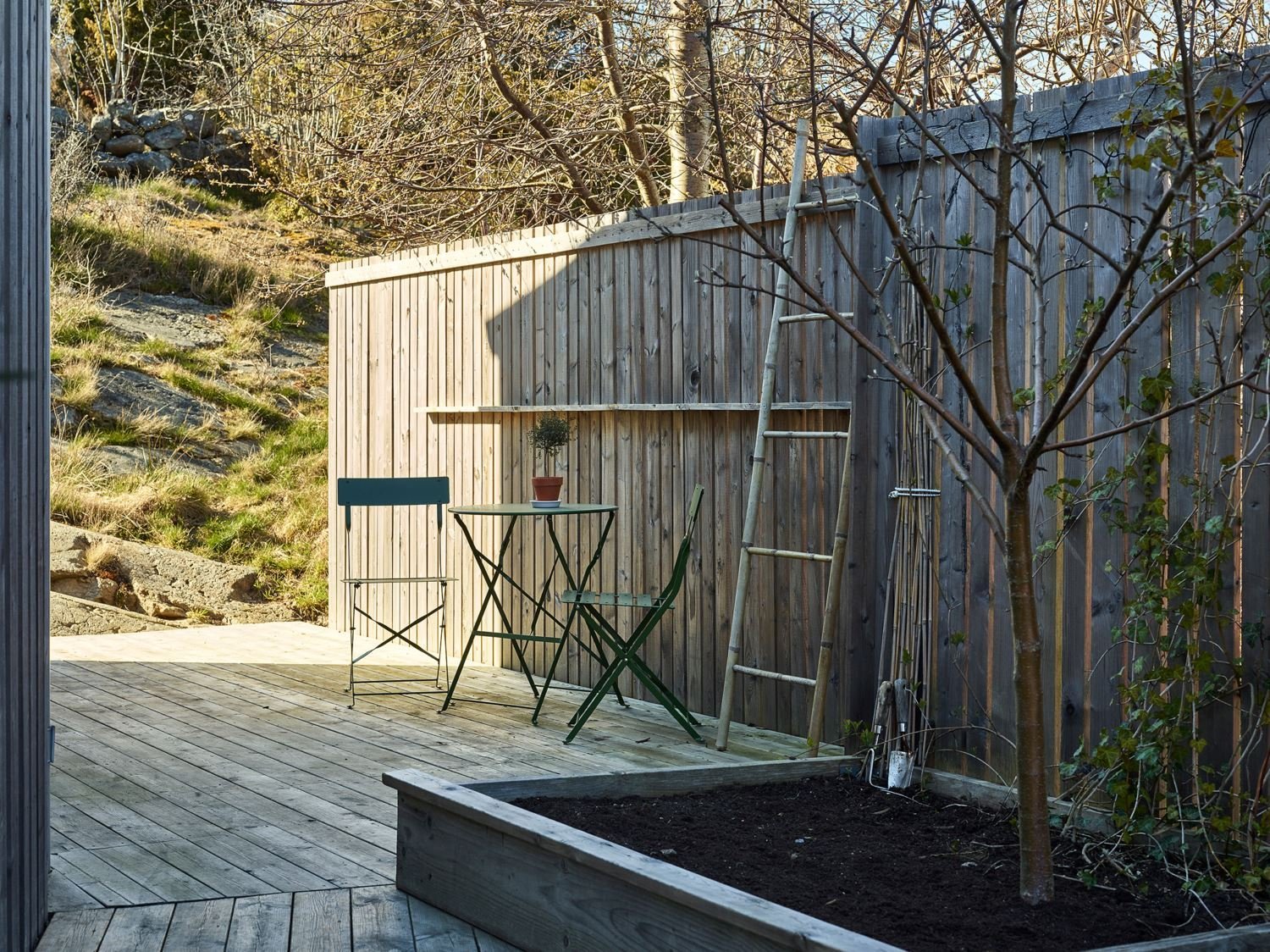 Severská borovice v hlavní roli moderní dřevostavby