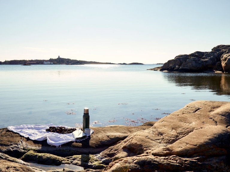 Severská borovice v hlavní roli moderní dřevostavby