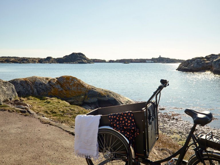 Severská borovice v hlavní roli moderní dřevostavby