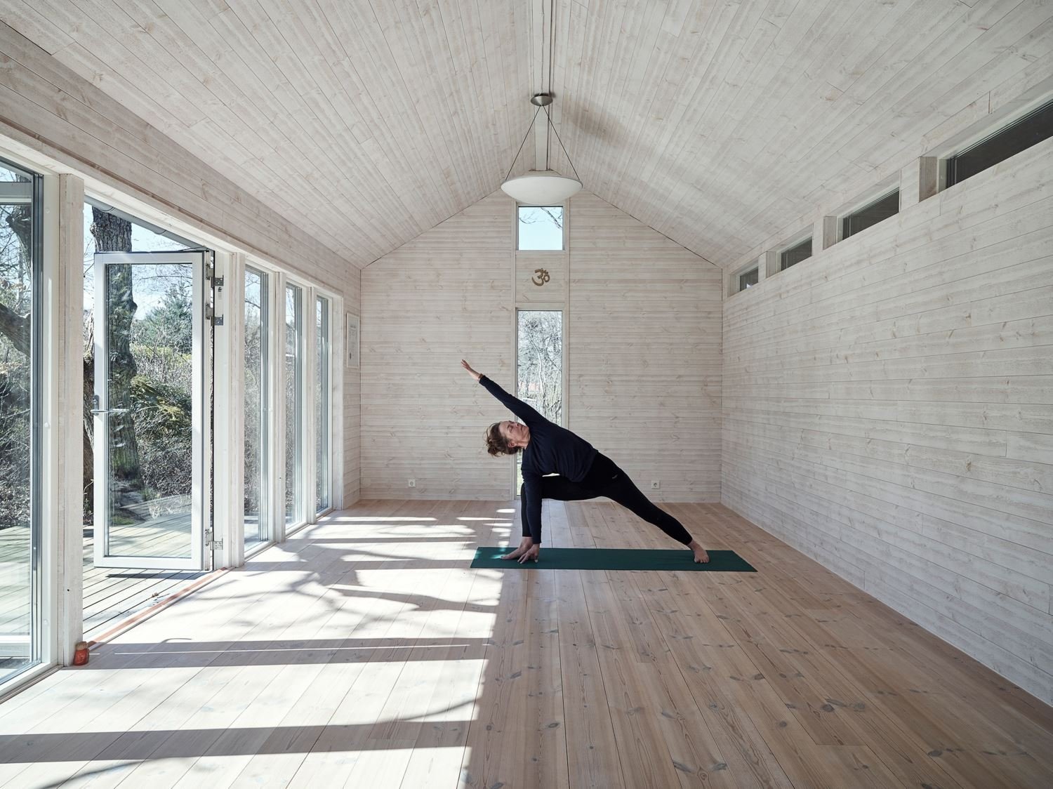 Severská borovice v hlavní roli moderní dřevostavby