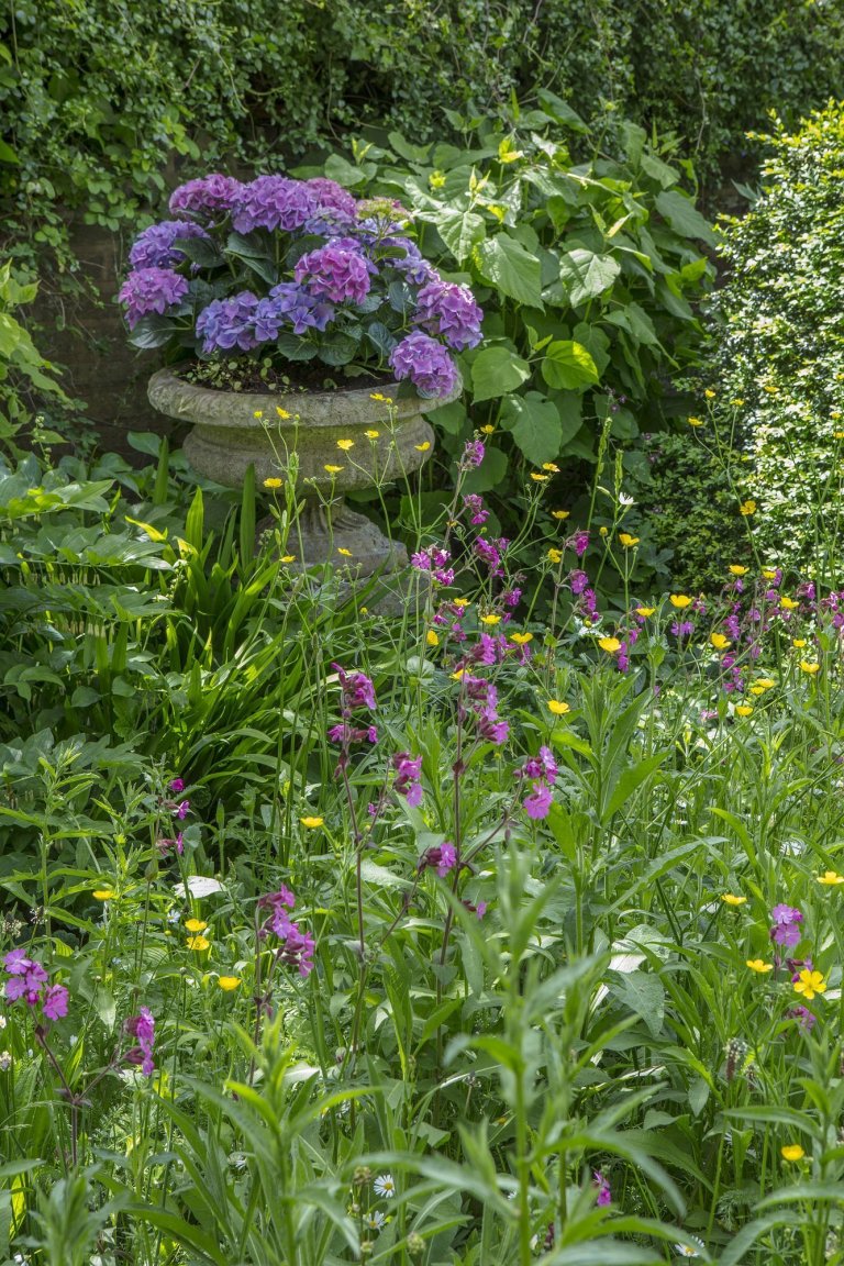 V londýnské zahradě