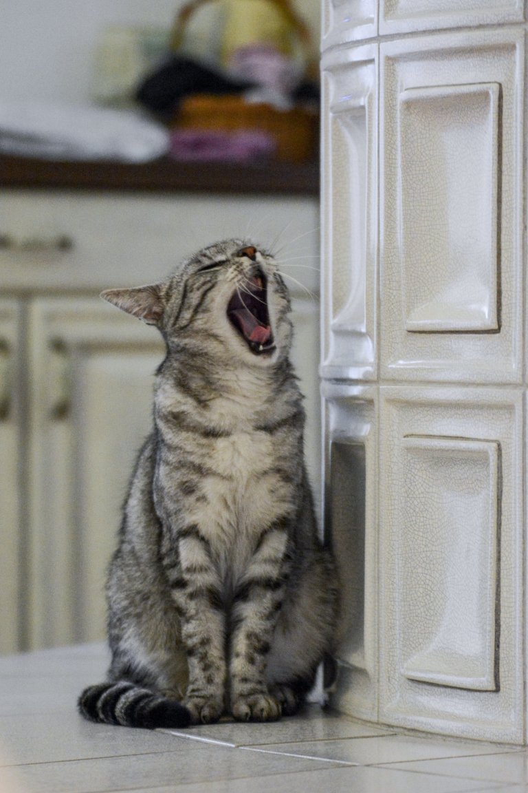 Kachlová kamna se sezením a troubou realizoval Mojmír Jauernig. Stavbu pohání vložka Brunner B8 a zdobí jí kachel Kazeta od K&amp;K POKER, kamnářství Bechyně v…