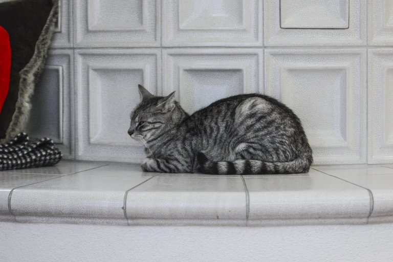 Kachlová kamna se sezením a troubou realizoval Mojmír Jauernig. Stavbu pohání vložka Brunner B8 a zdobí jí kachel Kazeta od K&amp;K POKER, kamnářství Bechyně v…