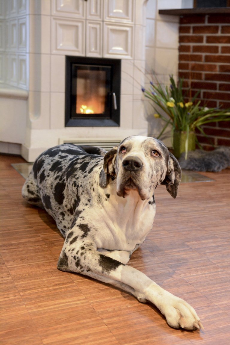 Kachlová kamna se sezením a troubou realizoval Mojmír Jauernig. Stavbu pohání vložka Brunner B8 a zdobí jí kachel Kazeta od K&amp;K POKER, kamnářství Bechyně v…