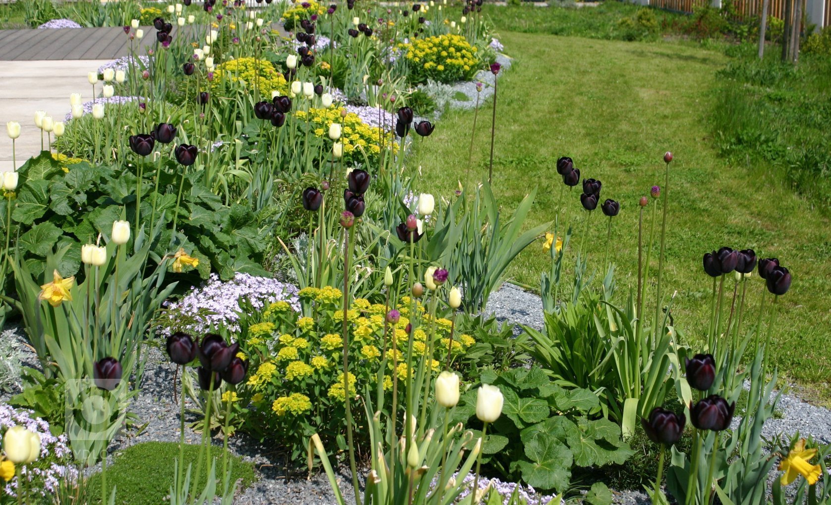 Rodinný dům byl navržen jako průnik tradiční architektury lidového stavění na venkově a současných&nbsp;potřeb moderního bydlení. Ukázalo se, že převzaté…