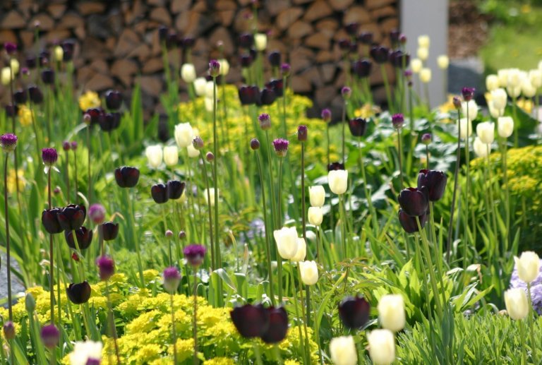 Rodinný dům byl navržen jako průnik tradiční architektury lidového stavění na venkově a současných&nbsp;potřeb moderního bydlení. Ukázalo se, že převzaté…