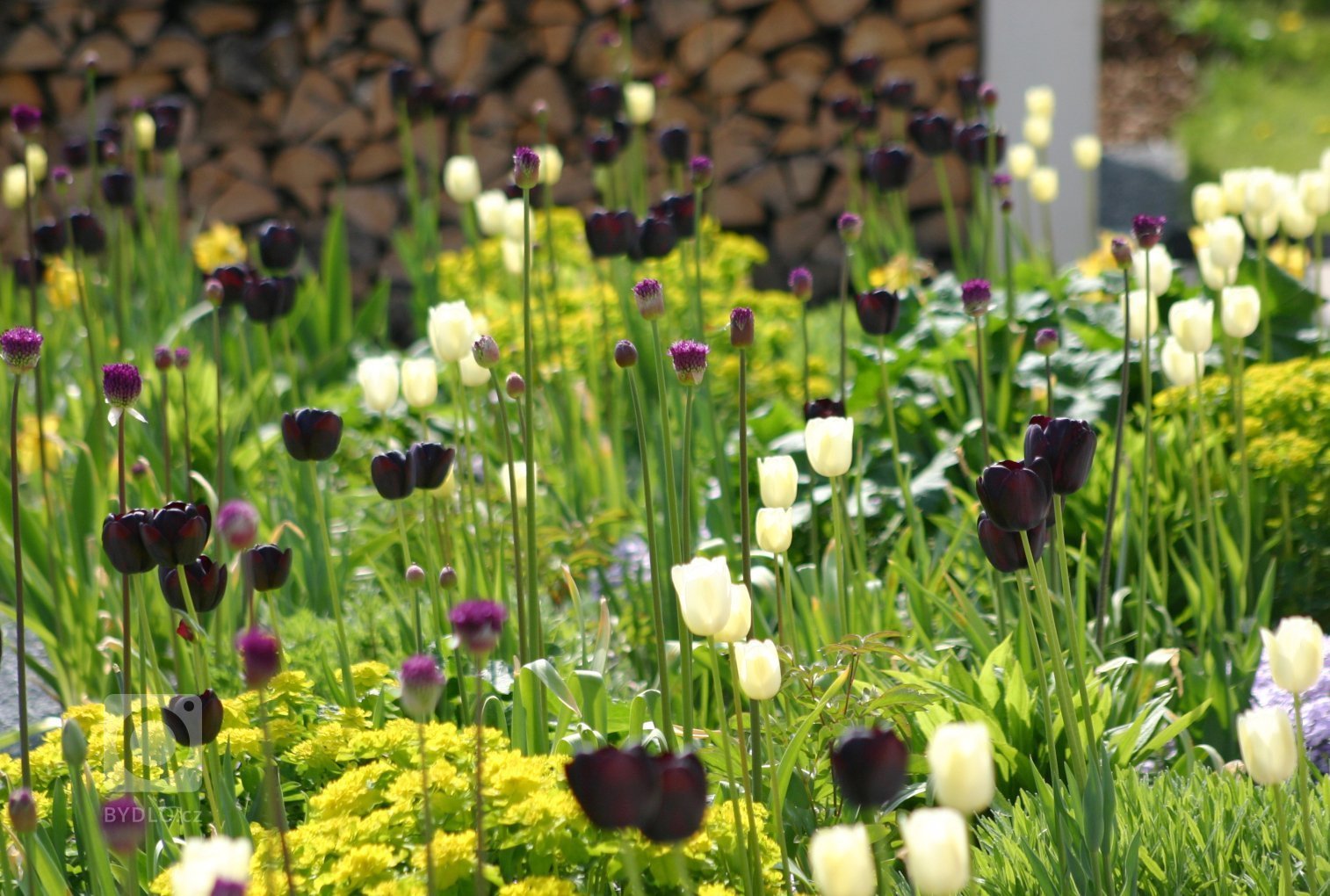 Rodinný dům byl navržen jako průnik tradiční architektury lidového stavění na venkově a současných&nbsp;potřeb moderního bydlení. Ukázalo se, že převzaté…