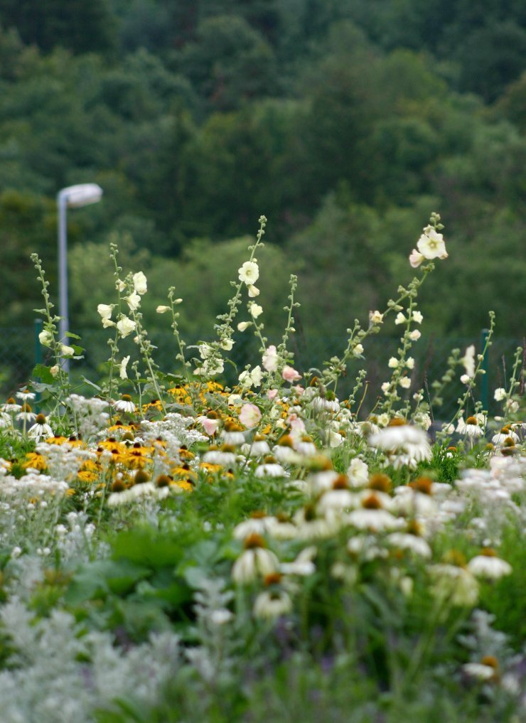 Rodinný dům byl navržen jako průnik tradiční architektury lidového stavění na venkově a současných&nbsp;potřeb moderního bydlení. Ukázalo se, že převzaté…