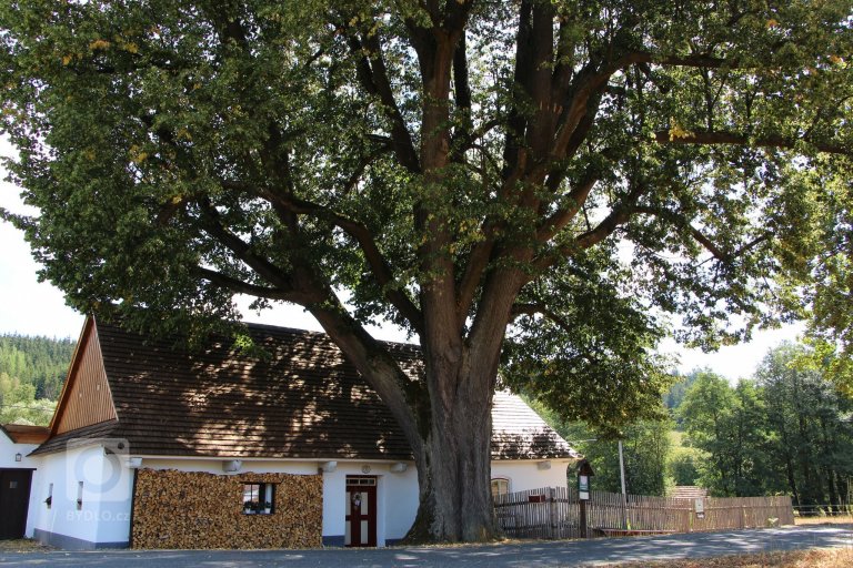 Rekonstrukce 280let staré chalupy pod památnou lípou. Dům byl znehodnocen opravou v 70tých letech a bylo nutno provést kompletní zásah do konstrukcí, výměnu…