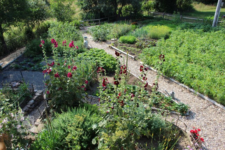 add picture to album