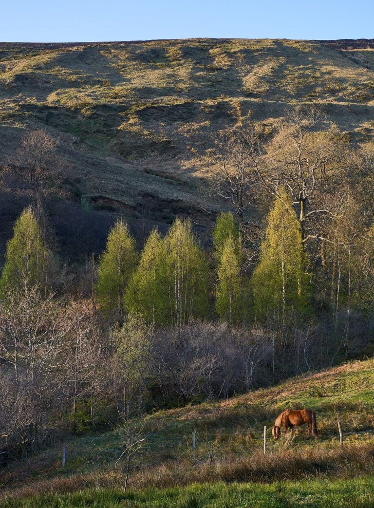 Dům ze staré stodoly