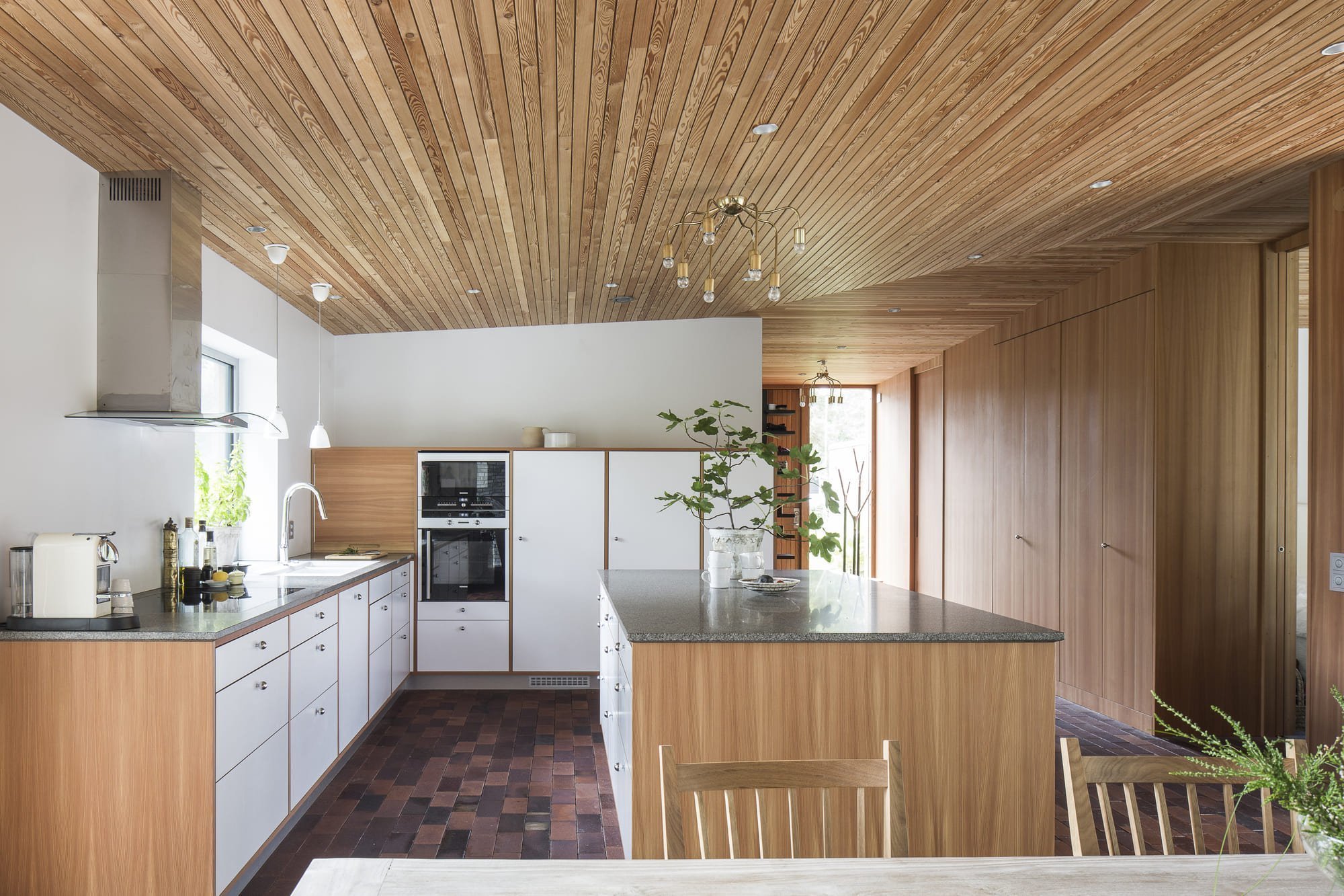 Přízemní dřevostavba mezi borovicemi a domem pro babičku